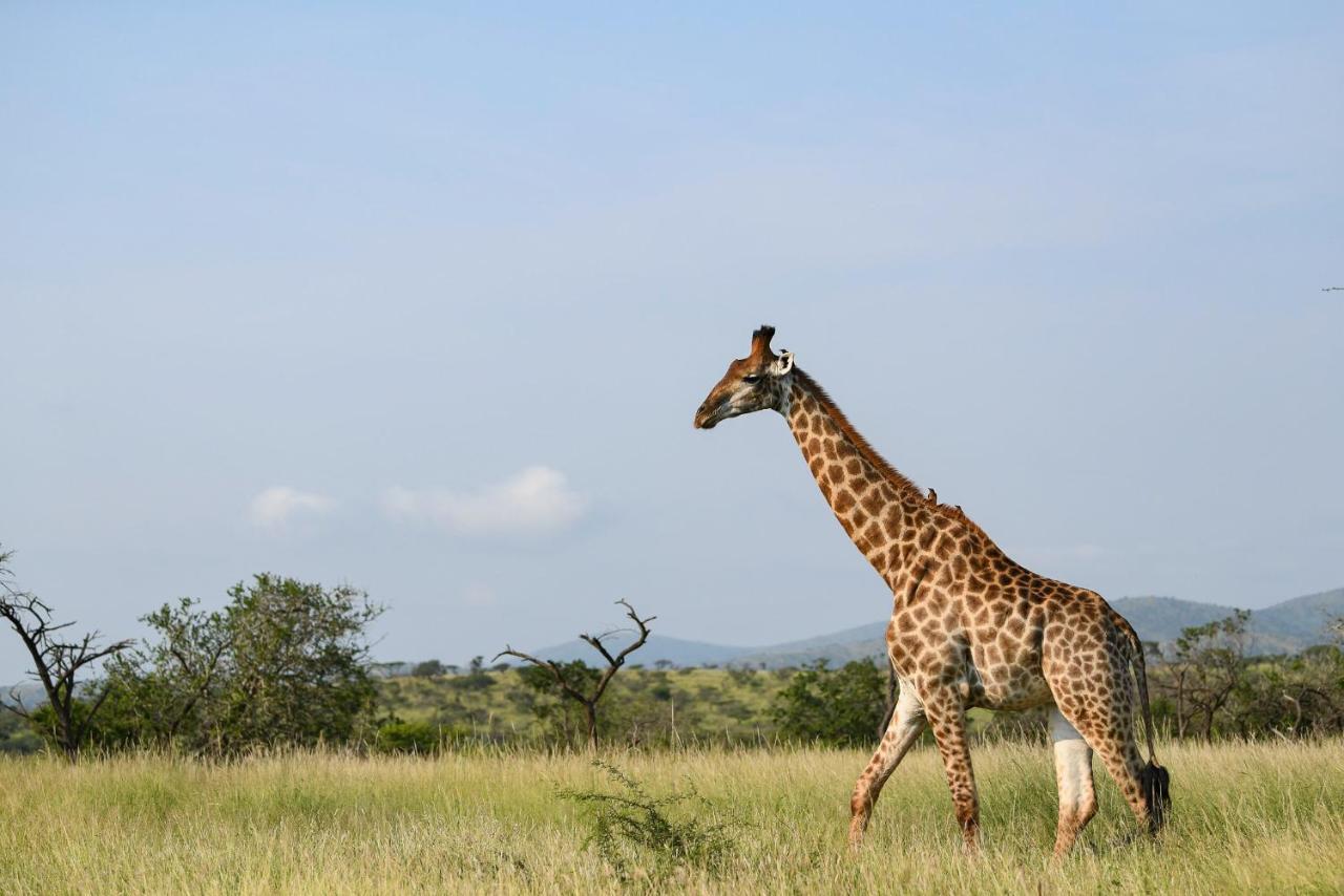 Mavela Game Lodge Mkuze Esterno foto